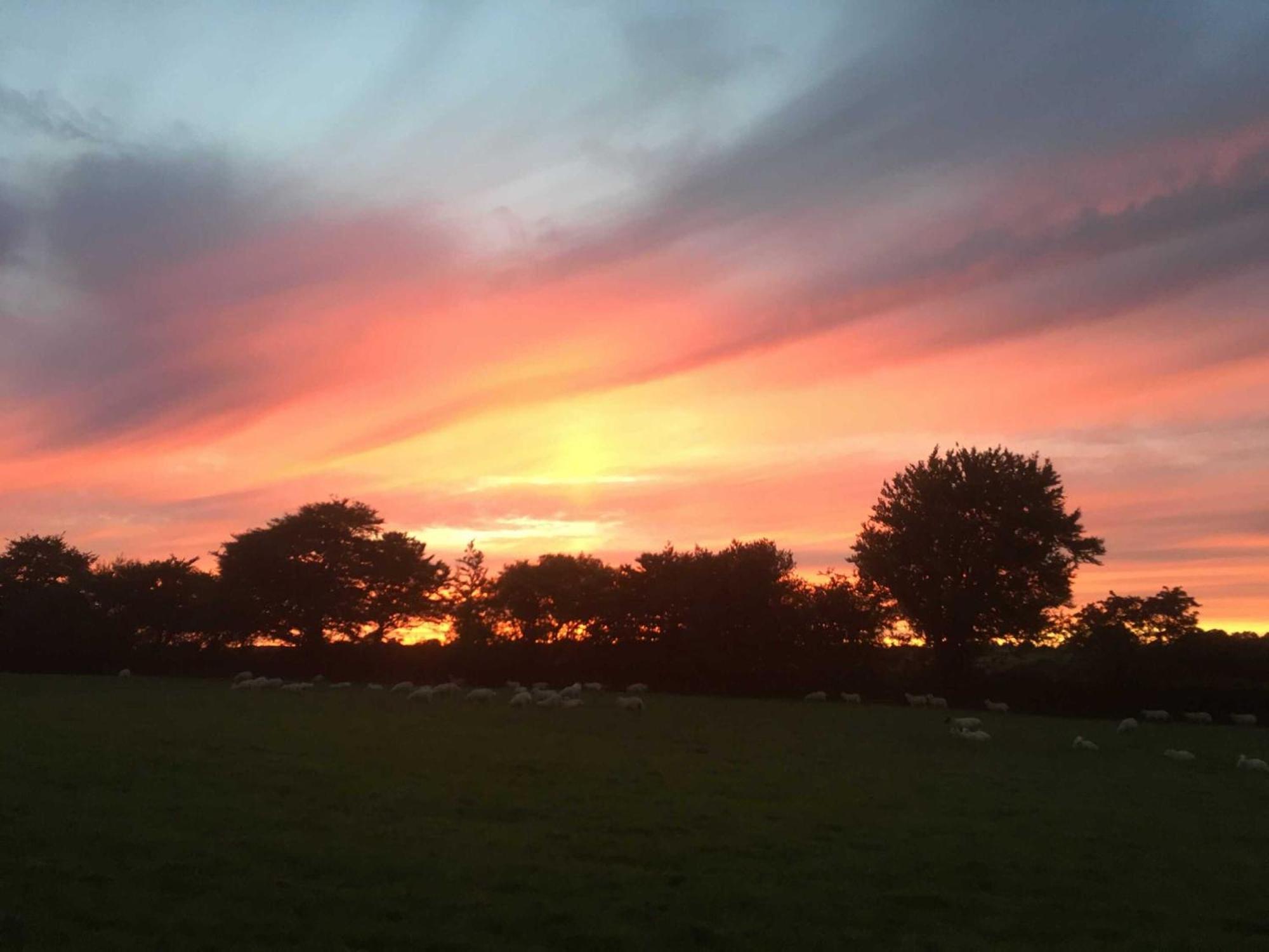Holsworthy Holiday Cottages *
